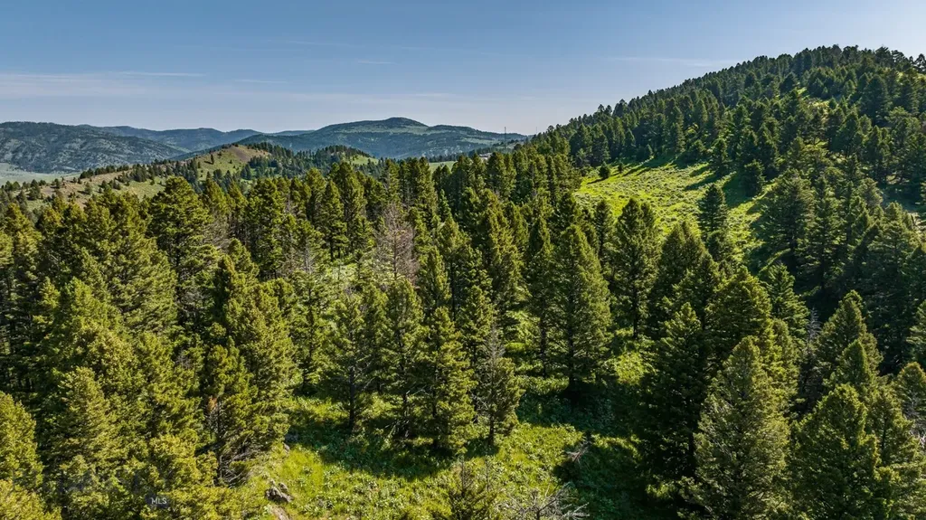 Tbd Woodchuck Road Bozeman MT 59715