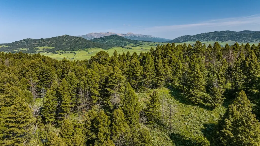 Tbd Woodchuck Road Bozeman MT 59715
