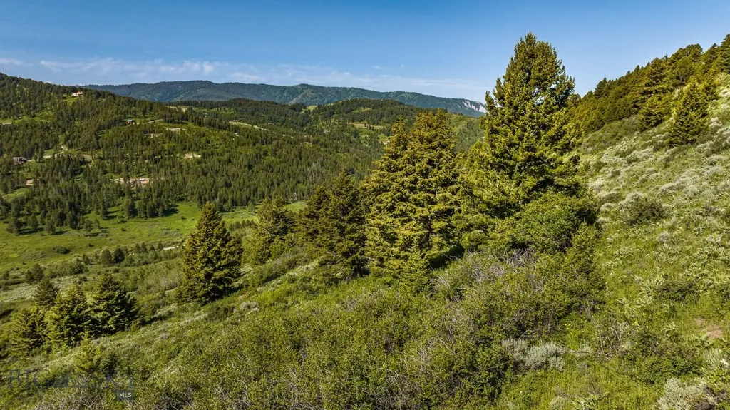 Tbd Woodchuck Road Bozeman MT 59715