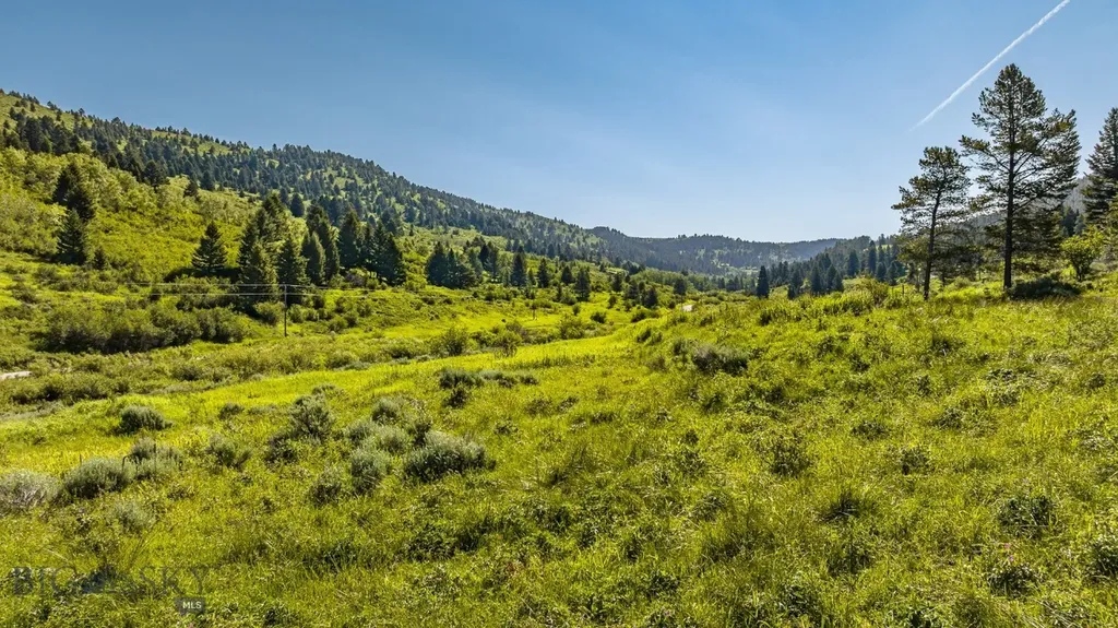 Tbd Woodchuck Road Bozeman MT 59715