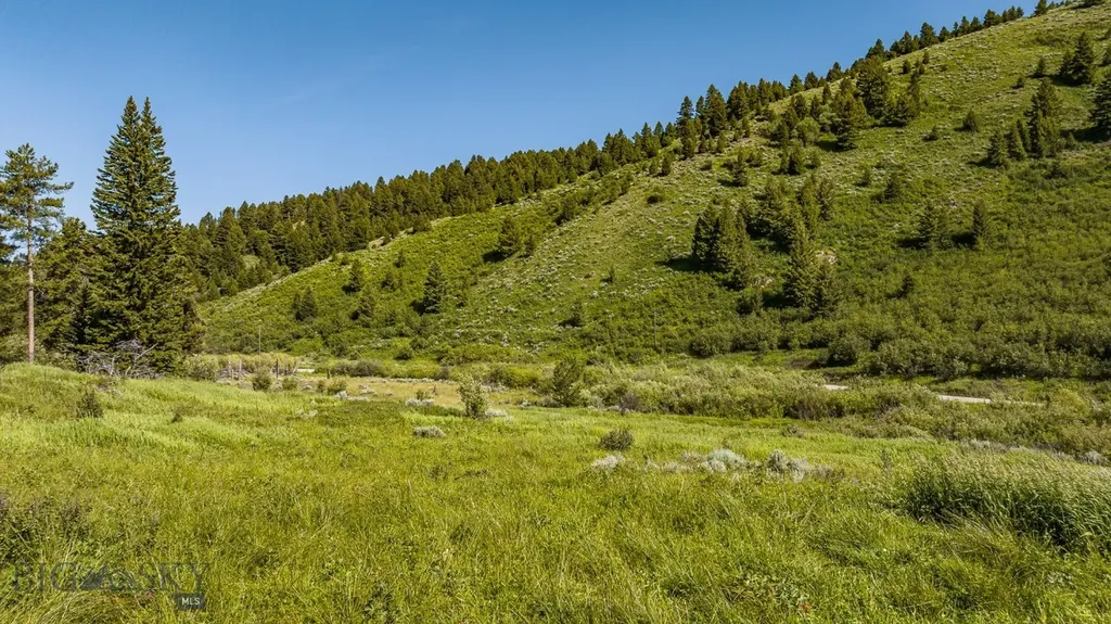 Tbd Woodchuck Road Bozeman MT 59715