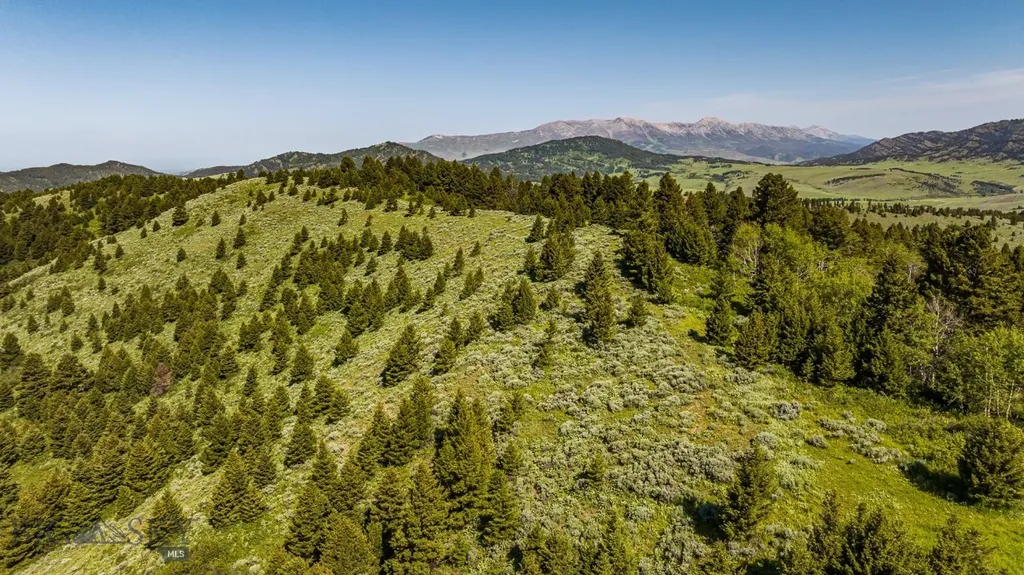 Tbd Woodchuck Road Bozeman MT 59715