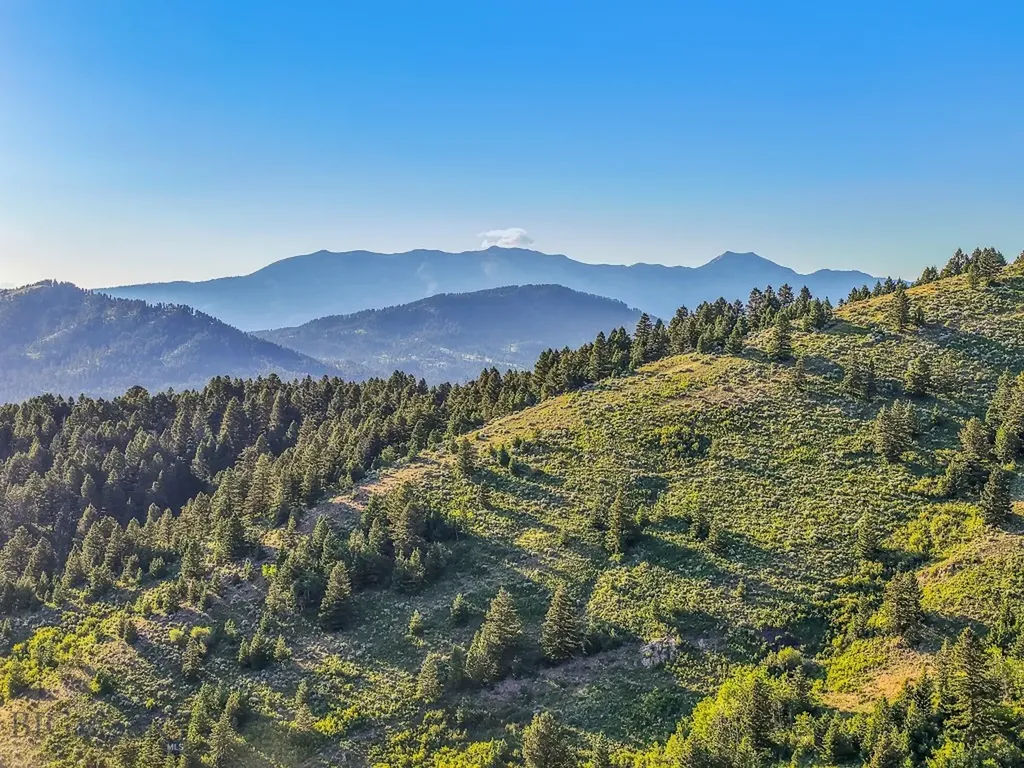 Tbd Woodchuck Road Bozeman MT 59715