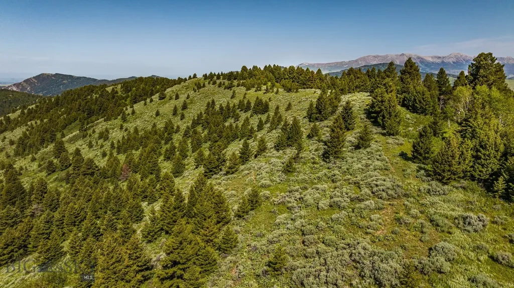 Tbd Woodchuck Road Bozeman MT 59715