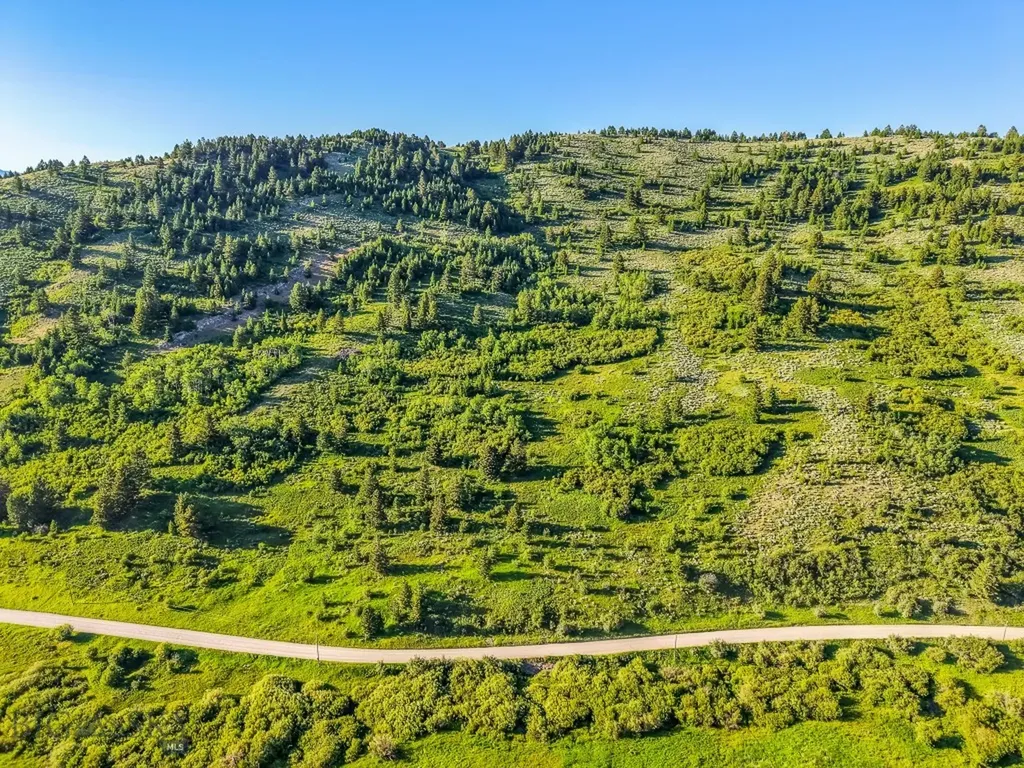Tbd Woodchuck Road Bozeman MT 59715
