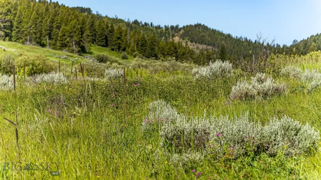 Tbd Woodchuck Road Bozeman MT 59715
