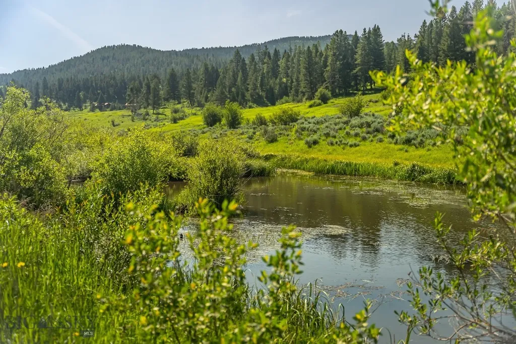 Tbd Woodchuck Road Bozeman MT 59715