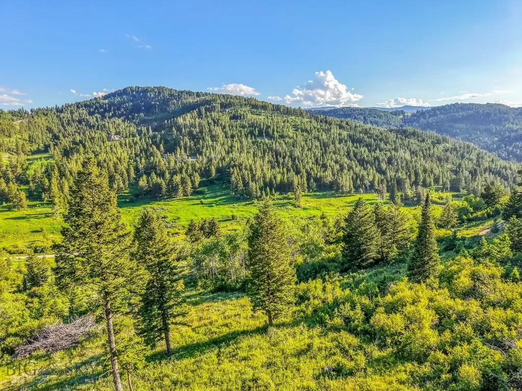 Tbd Woodchuck Road Bozeman MT 59715