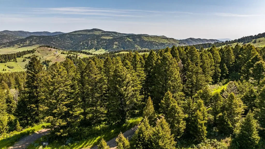 Tbd Woodchuck Road Bozeman MT 59715