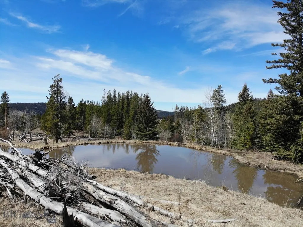 95 Little Moose Creek Trail White Sulphur Springs MT 59645