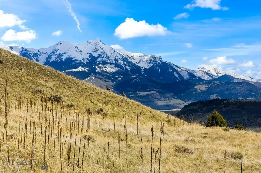 Tbd Dry Creek Road S Emigrant MT 59027