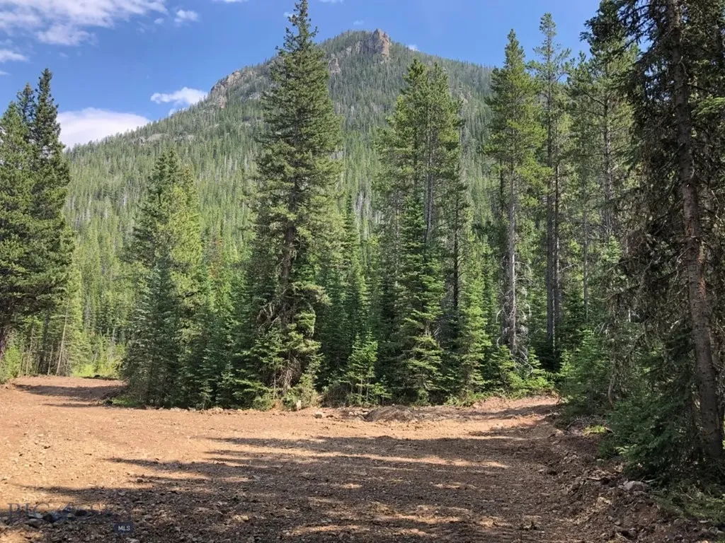 8 South Boulder Road Cardwell MT 59721
