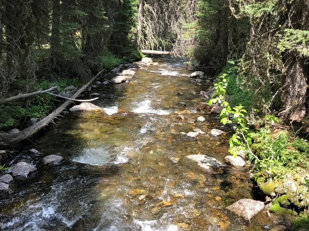 8 South Boulder Road Cardwell MT 59721