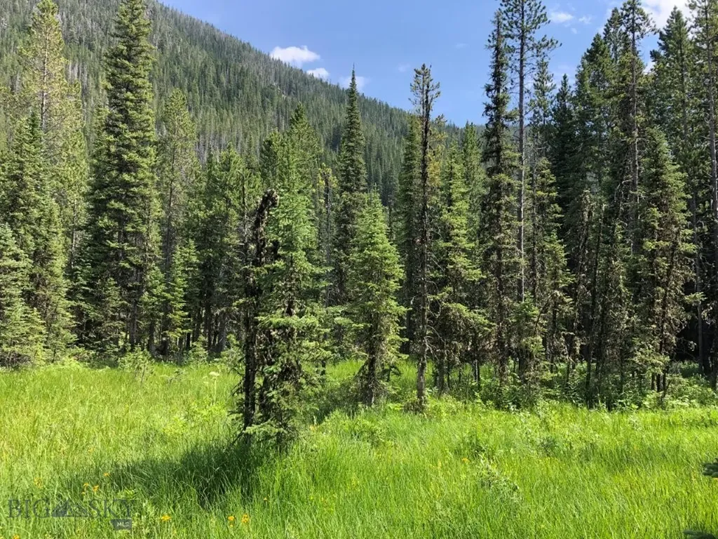 8 South Boulder Road Cardwell MT 59721