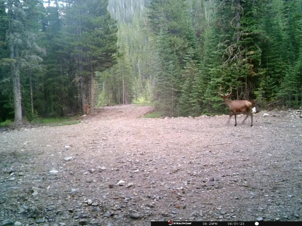 8 South Boulder Road Cardwell MT 59721