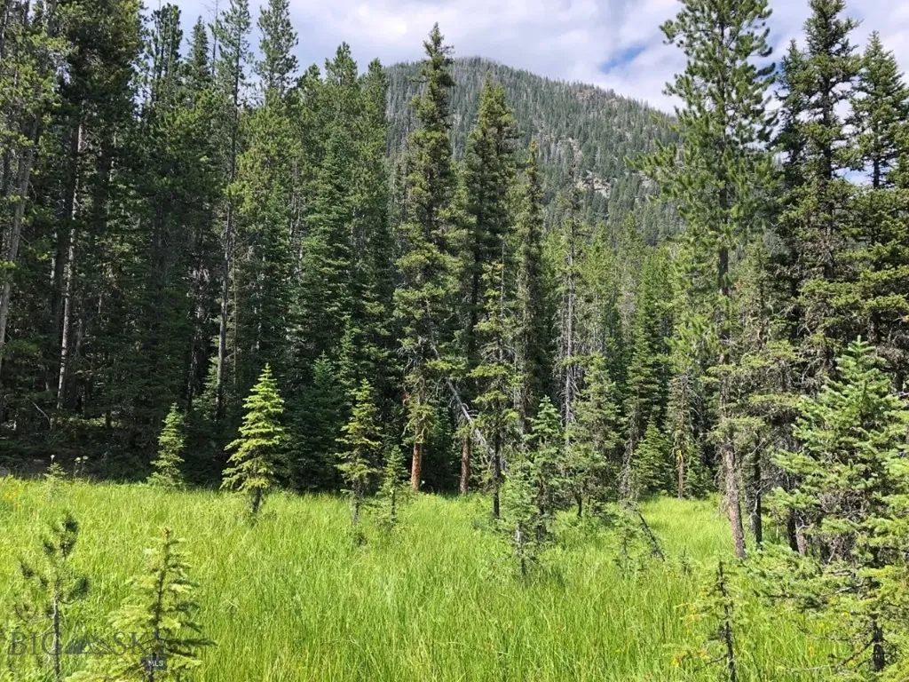 8 South Boulder Road Cardwell MT 59721