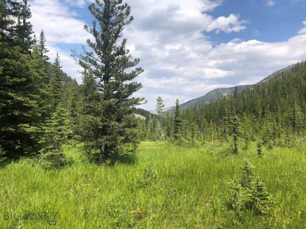 8 South Boulder Road Cardwell MT 59721