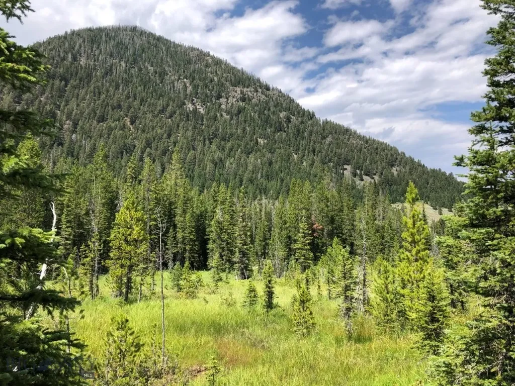 8 South Boulder Road Cardwell MT 59721