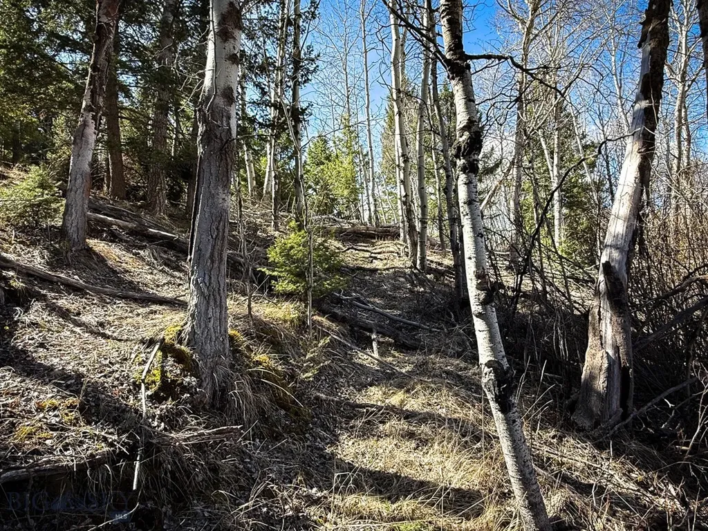 Tbd Lone Pine Gulch Road Ramsay MT 59748
