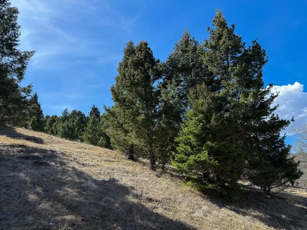 Tbd Lone Pine Gulch Road Ramsay MT 59748