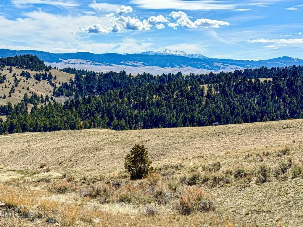 Tbd Lone Pine Gulch Road Ramsay MT 59748