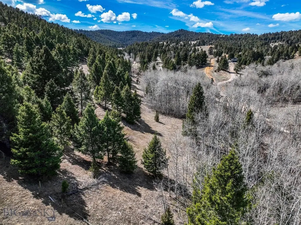 Tbd Lone Pine Gulch Road Ramsay MT 59748