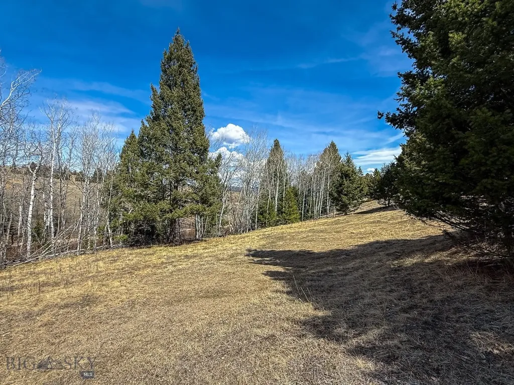 Tbd Lone Pine Gulch Road Ramsay MT 59748