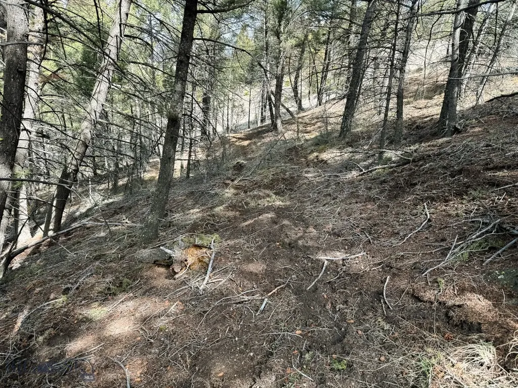 Tbd Lone Pine Gulch Road Ramsay MT 59748