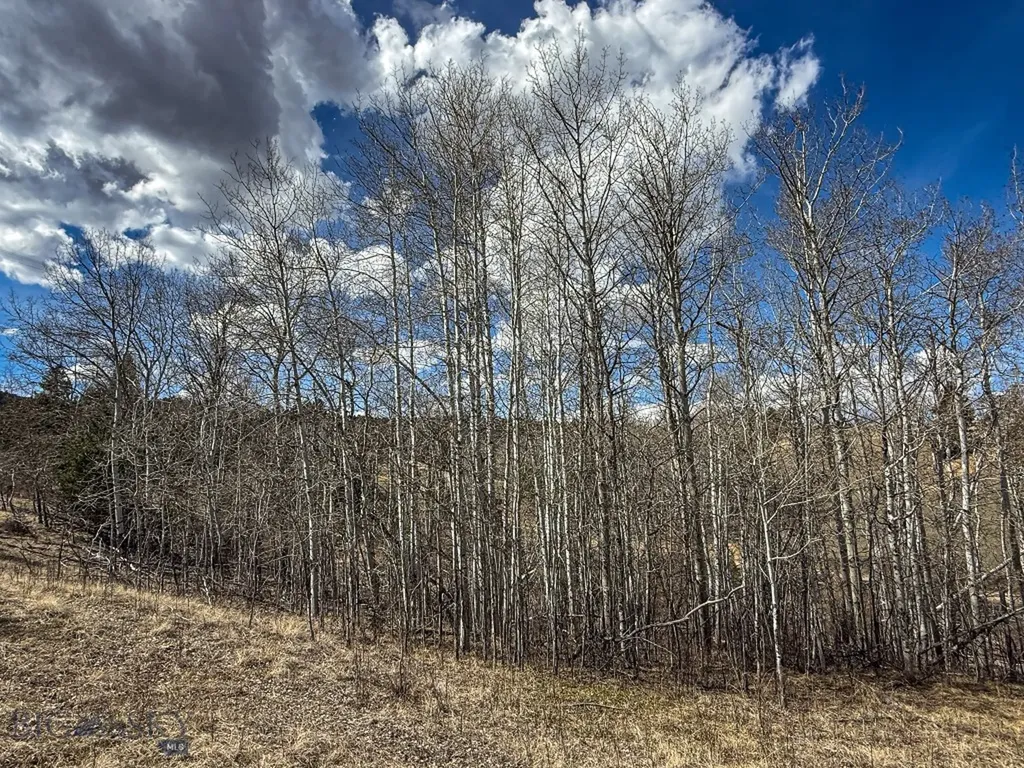 Tbd Lone Pine Gulch Road Ramsay MT 59748