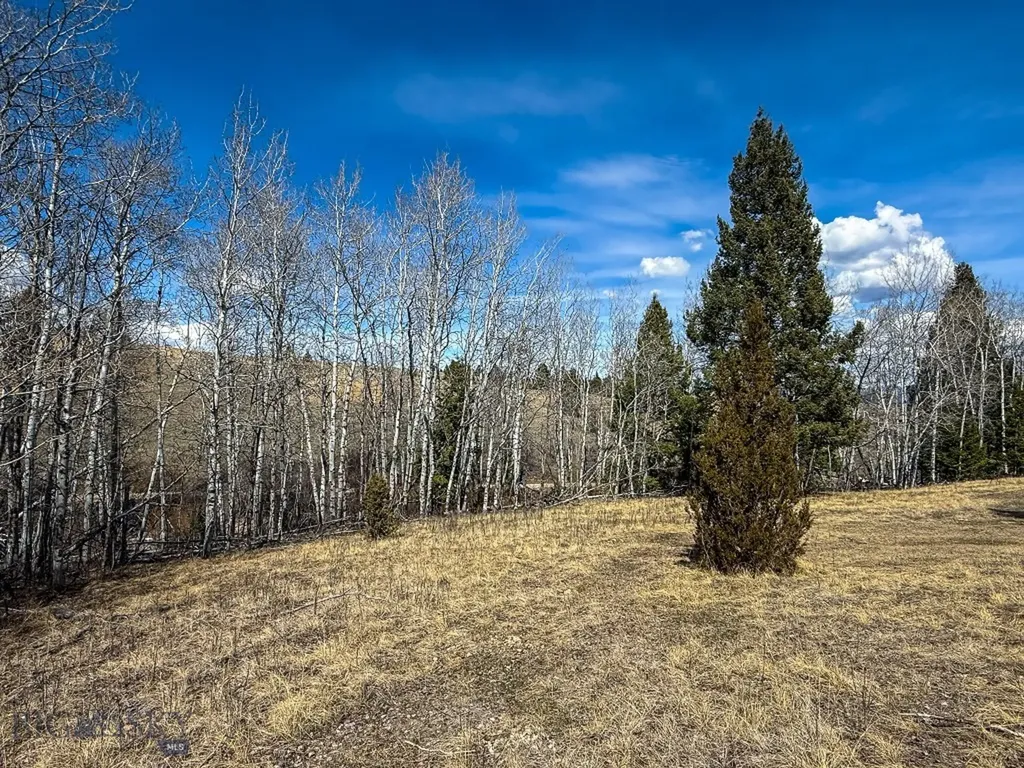 Tbd Lone Pine Gulch Road Ramsay MT 59748