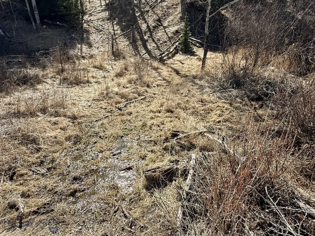 Tbd Lone Pine Gulch Road Ramsay MT 59748