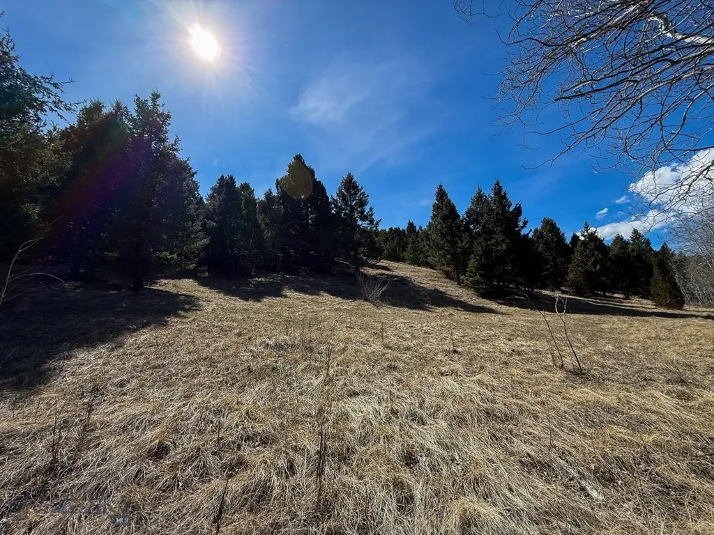Tbd Lone Pine Gulch Road Ramsay MT 59748