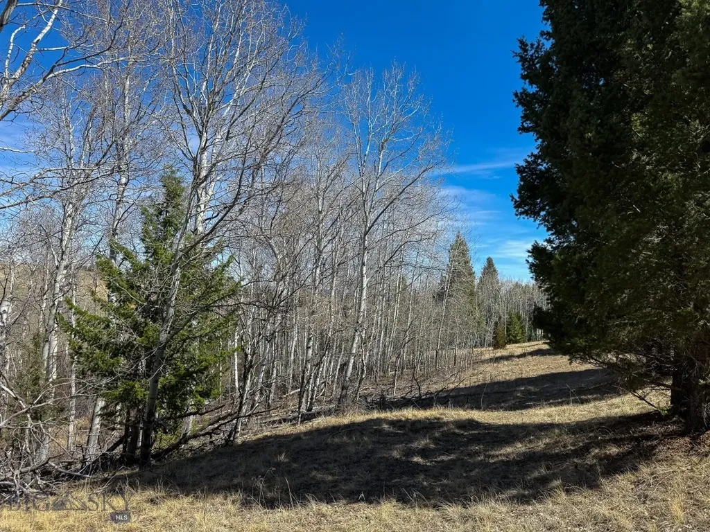 Tbd Lone Pine Gulch Road Ramsay MT 59748