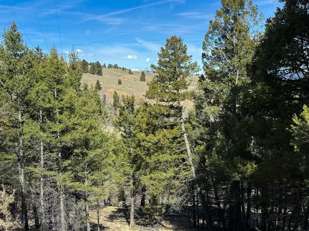 Tbd Lone Pine Gulch Road Ramsay MT 59748