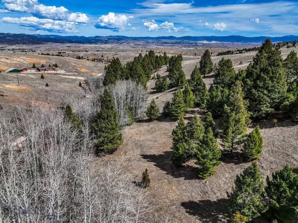 Tbd Lone Pine Gulch Road Ramsay MT 59748