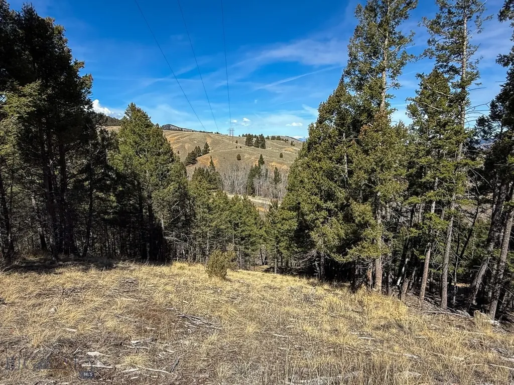 Tbd Lone Pine Gulch Road Ramsay MT 59748