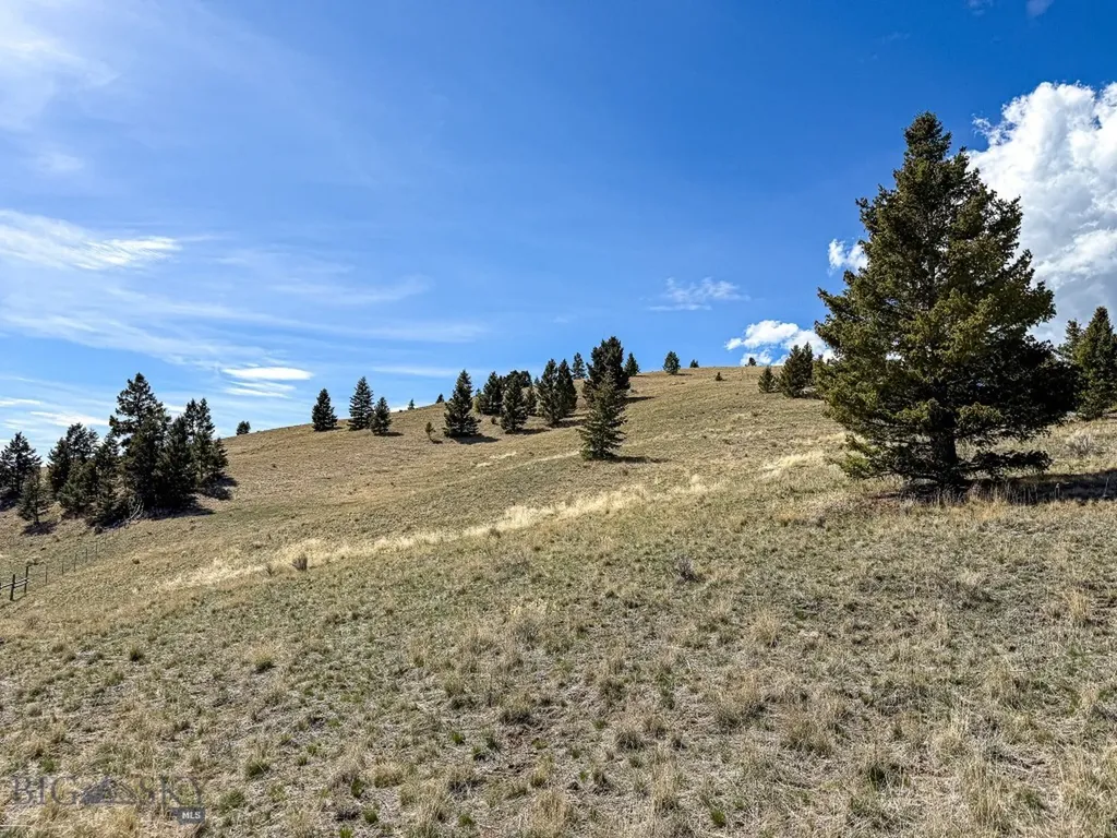 Tbd Lone Pine Gulch Road Ramsay MT 59748
