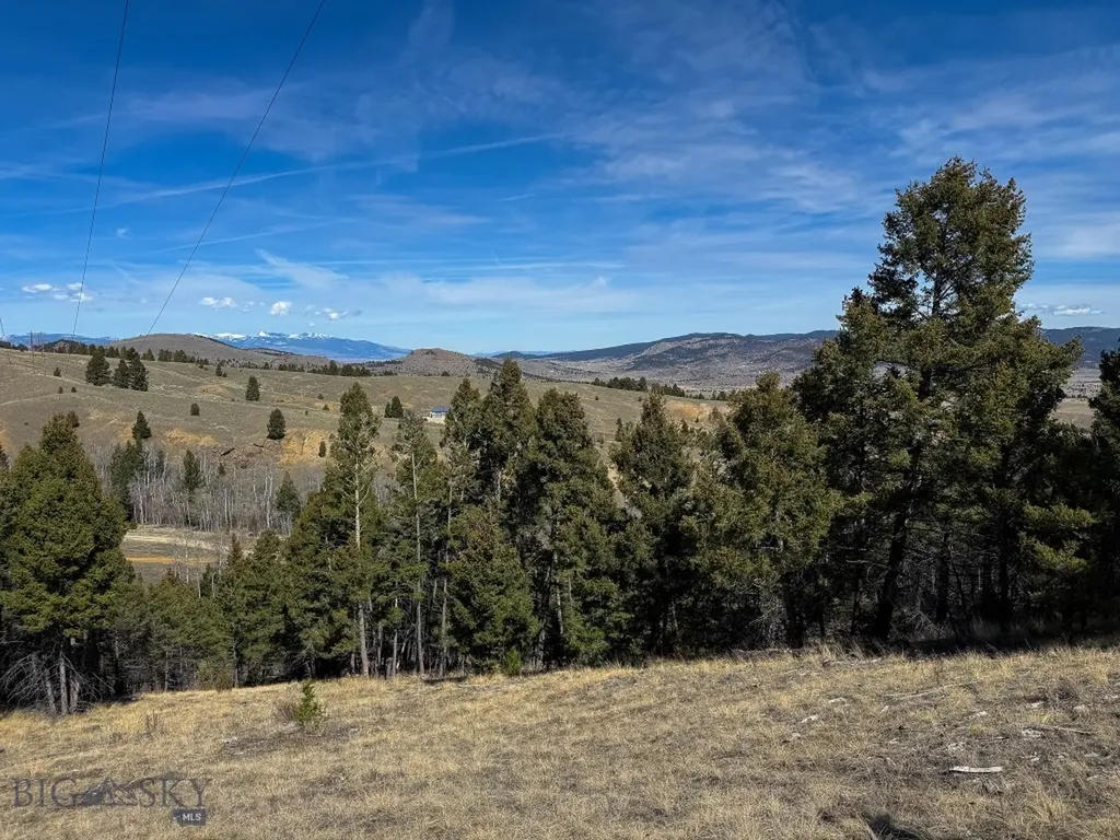Tbd Lone Pine Gulch Road Ramsay MT 59748