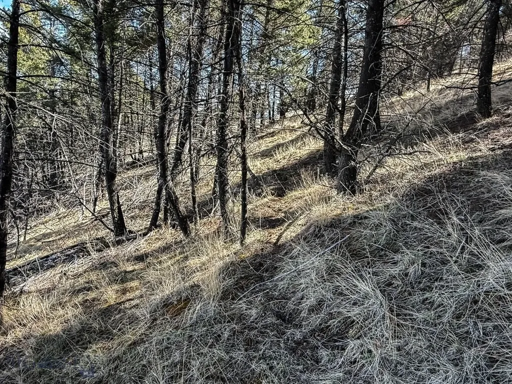 Tbd Lone Pine Gulch Road Ramsay MT 59748