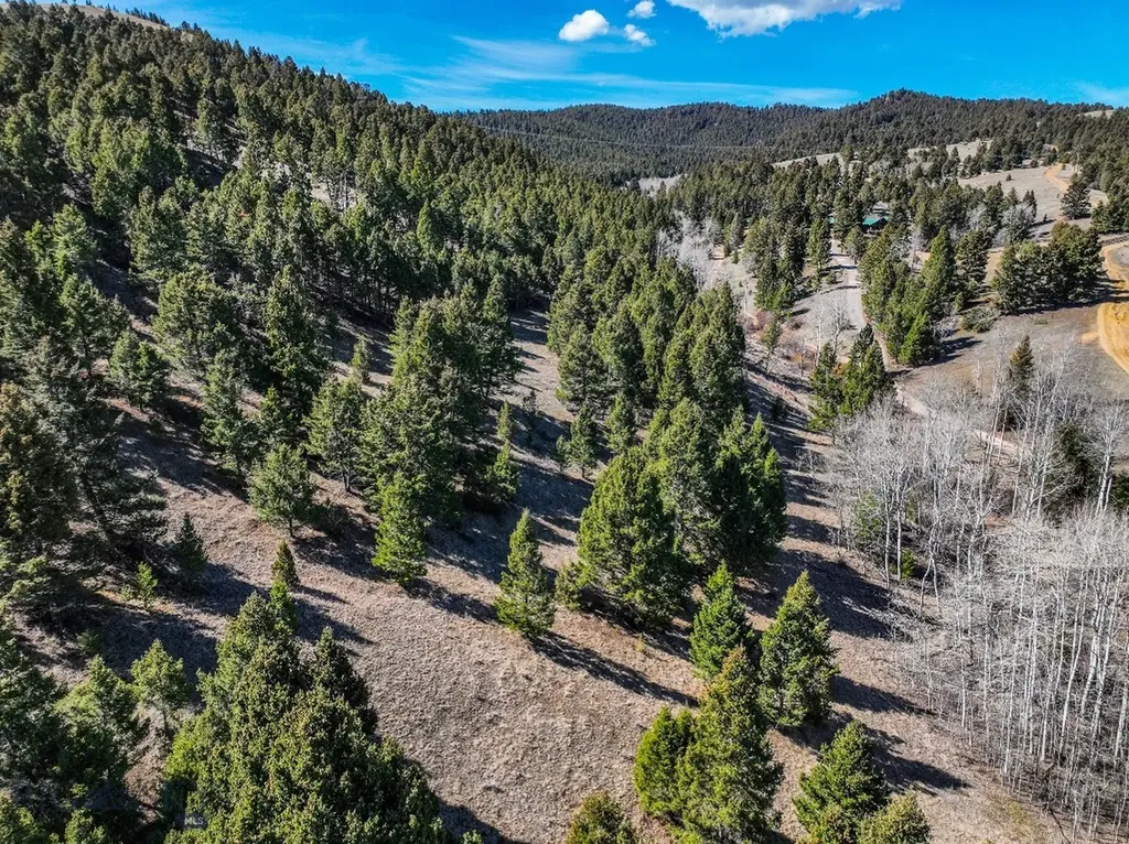 Tbd Lone Pine Gulch Road Ramsay MT 59748