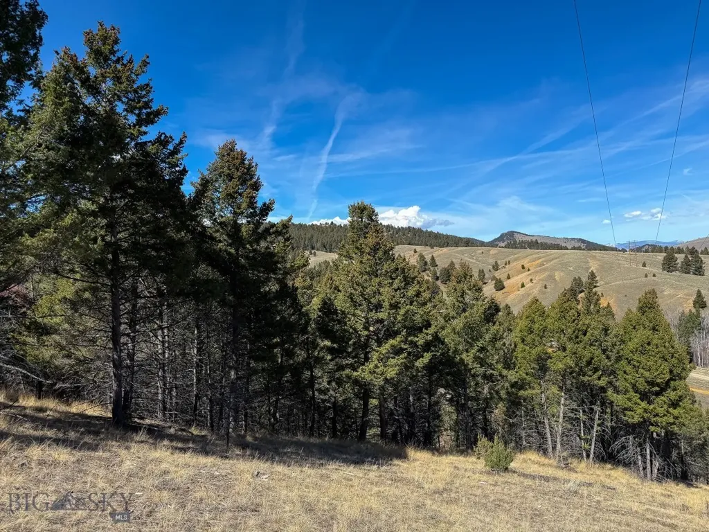 Tbd Lone Pine Gulch Road Ramsay MT 59748