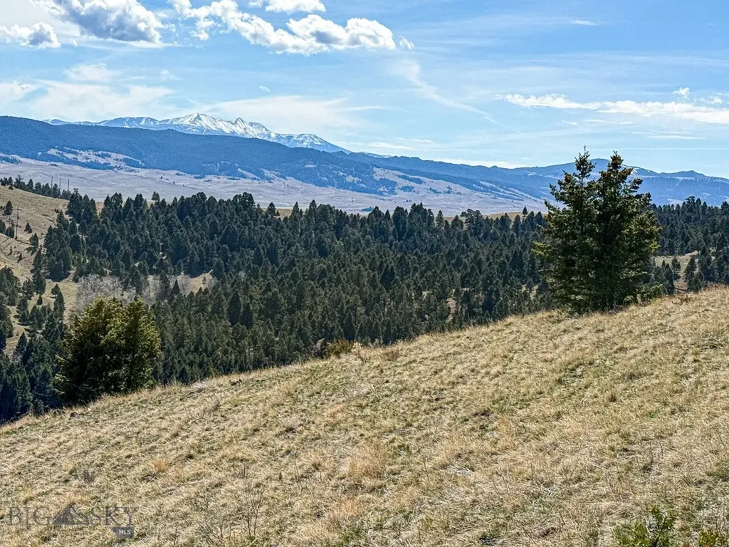 Tbd Lone Pine Gulch Road Ramsay MT 59748