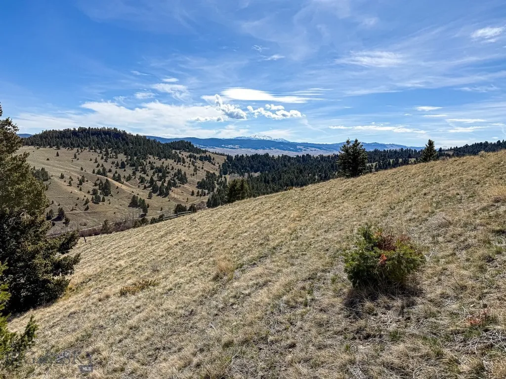 Tbd Lone Pine Gulch Road Ramsay MT 59748
