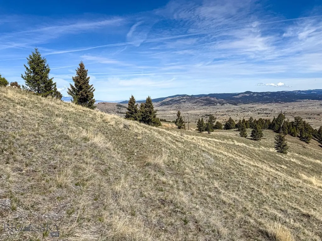 Tbd Lone Pine Gulch Road Ramsay MT 59748