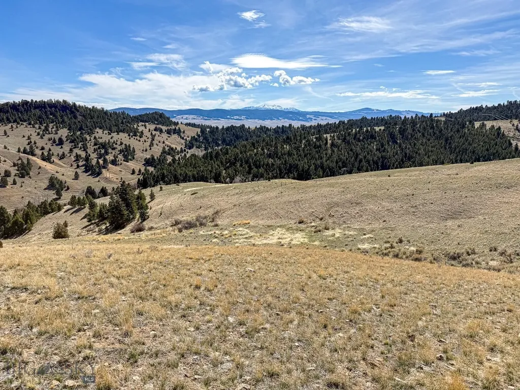 Tbd Lone Pine Gulch Road Ramsay MT 59748