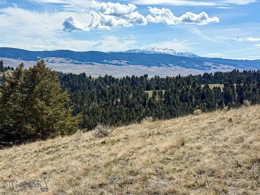 Tbd Lone Pine Gulch Road Ramsay MT 59748