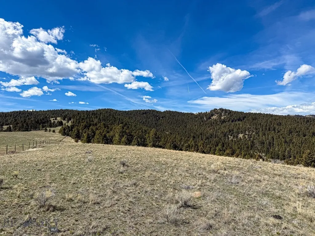 Tbd Lone Pine Gulch Road Ramsay MT 59748
