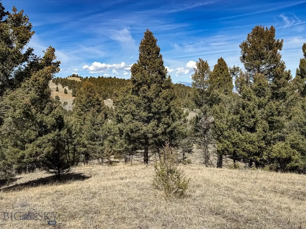 Tbd Lone Pine Gulch Road Ramsay MT 59748