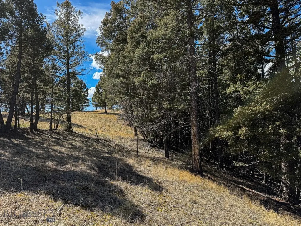 Tbd Lone Pine Gulch Road Ramsay MT 59748