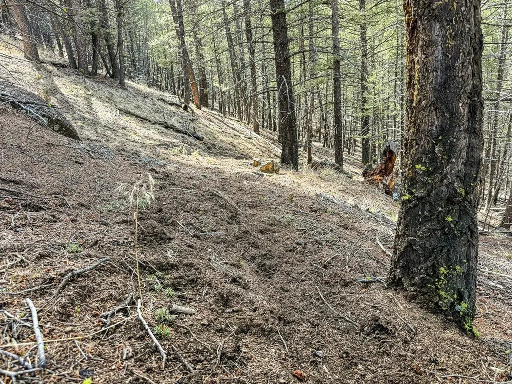 Tbd Lone Pine Gulch Road Ramsay MT 59748